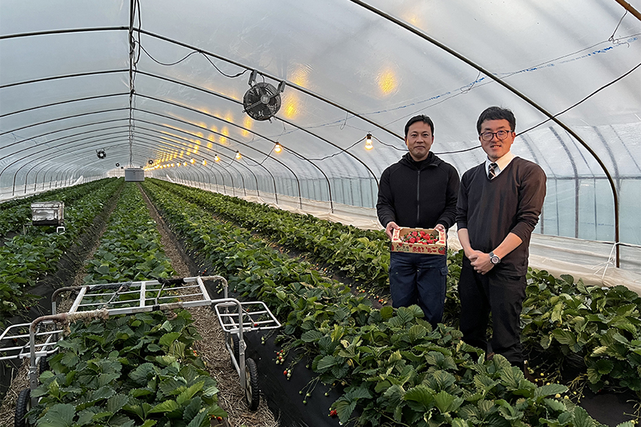 中井農園株式会社　中井靖社長（左）と天理市商工会　米田(こめだ)紀(のり)洋(ひろ)経営指導員